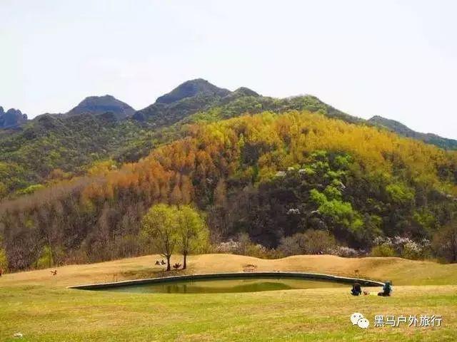 科学匹配运力 有序应对客流高峰